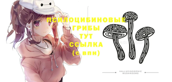 спайс Мегион