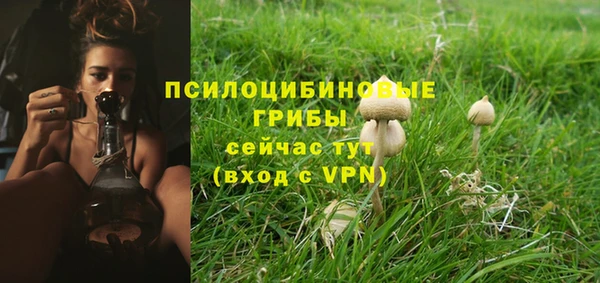 ГАЛЛЮЦИНОГЕННЫЕ ГРИБЫ Медвежьегорск