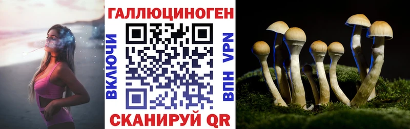 купить наркоту  Вилючинск  Галлюциногенные грибы Magic Shrooms 
